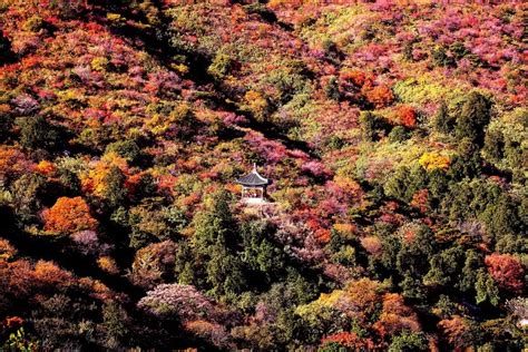 香山公園門票多少